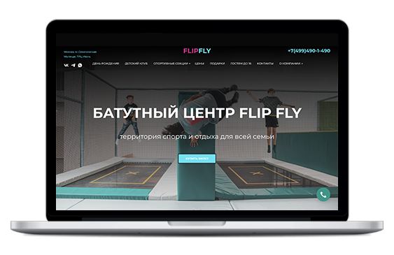 Кейс по продвижению сайта Flipfly.ru